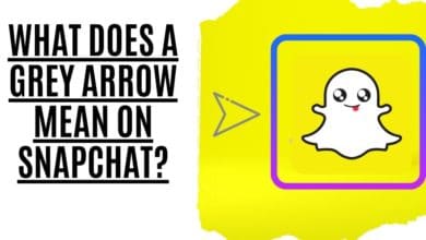 what does a grey arrow mean on snapchat