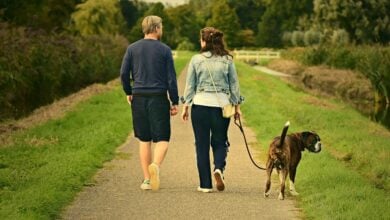 pet walking job for a couple with depression