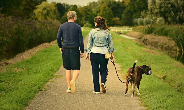 pet walking job for a couple with depression